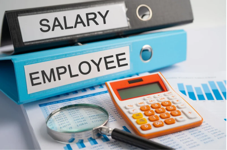 Salary Guide