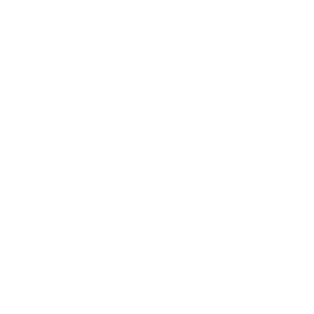 Speed Icon